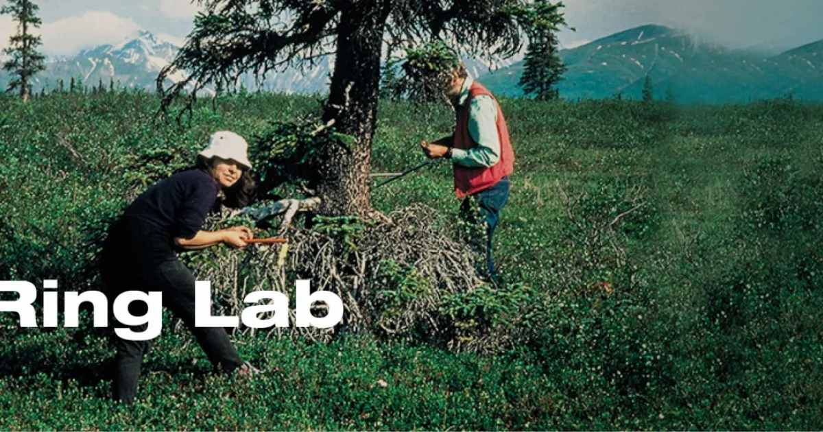 Tree Ring Lab | Lamont-Doherty Earth Observatory